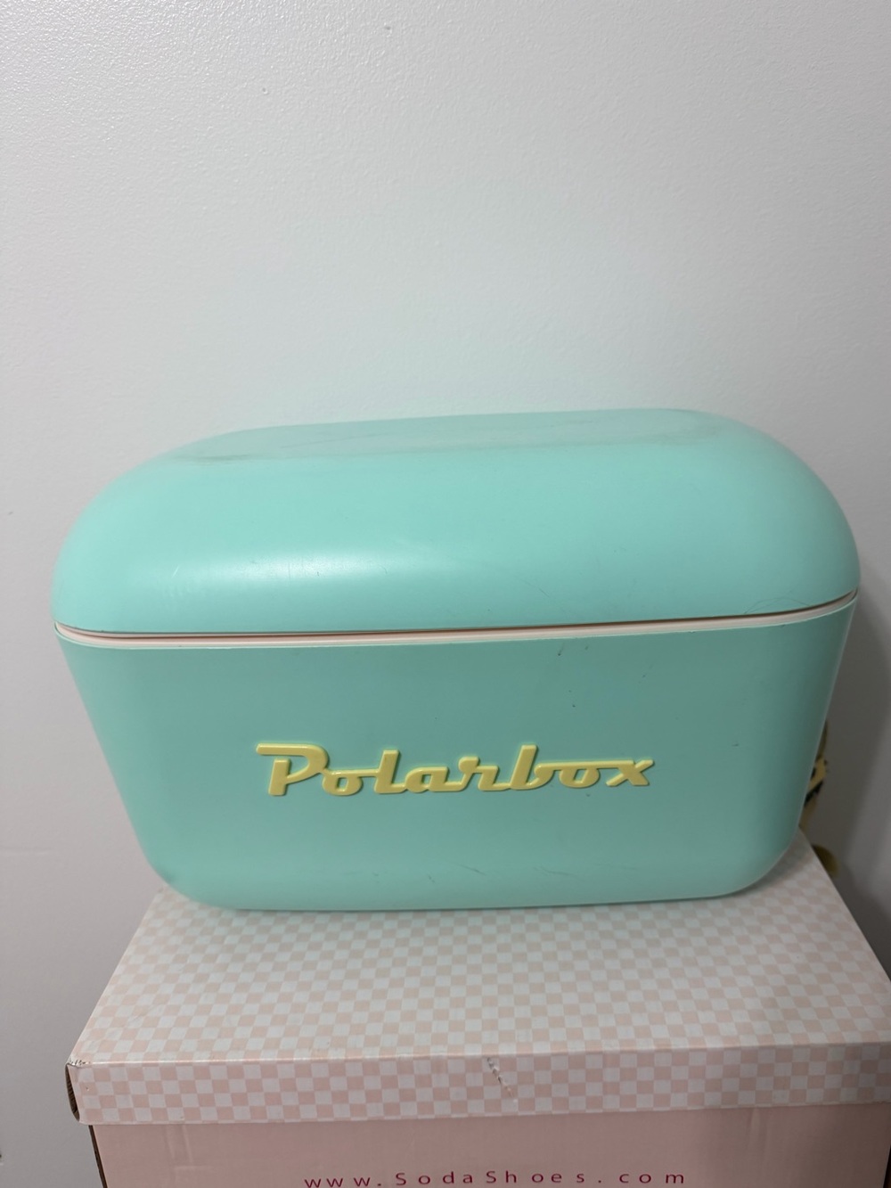 Polarbox Portable Cooler in Mint Green